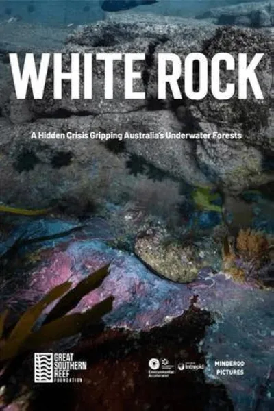 White Rock