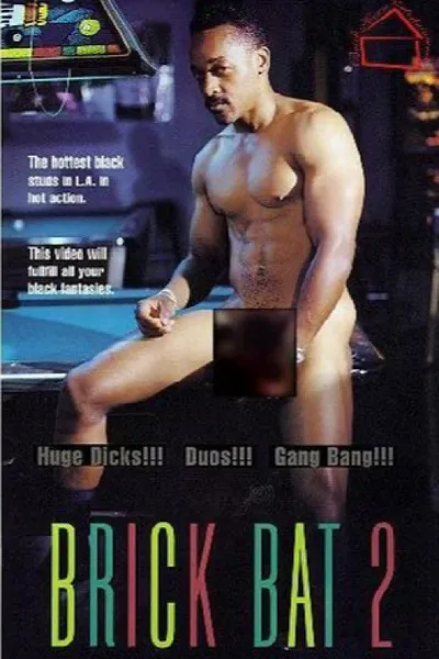 Brick Bat 2