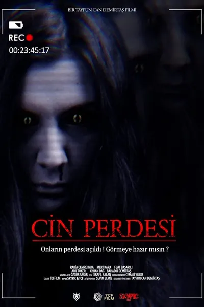 Cin Perdesi