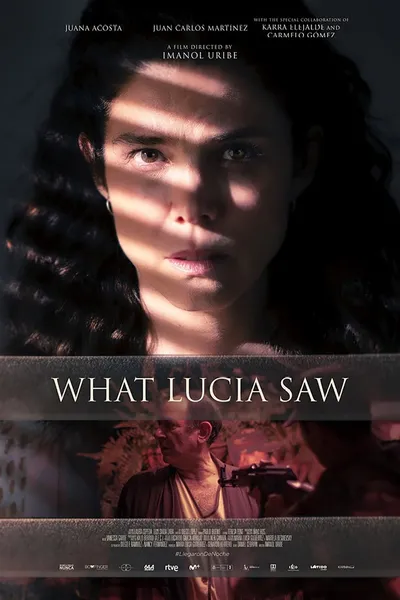 What Lucia Saw