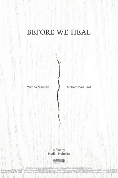 Before We Heal