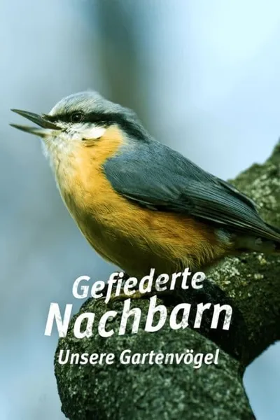 Gefiederte Nachbarn - Unsere Gartenvögel