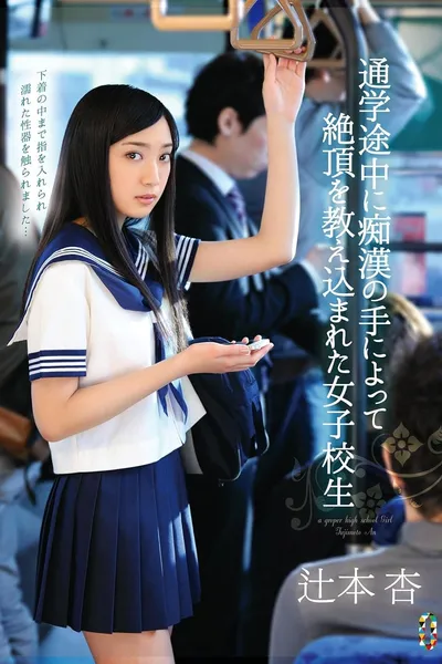 A Schoolgirl Is Taught A Lesson in Ecstasy By The Hands Of A Molester While On Her Way To School Starring Ann Tsujimoto