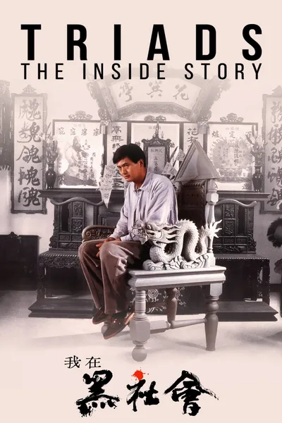 Triads: The Inside Story