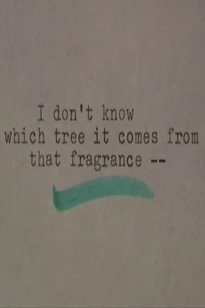 I Don't Know Which Tree It Comes From that Fragrance