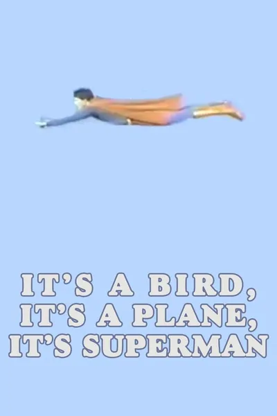 It's a Bird, It's a Plane, It's Superman!