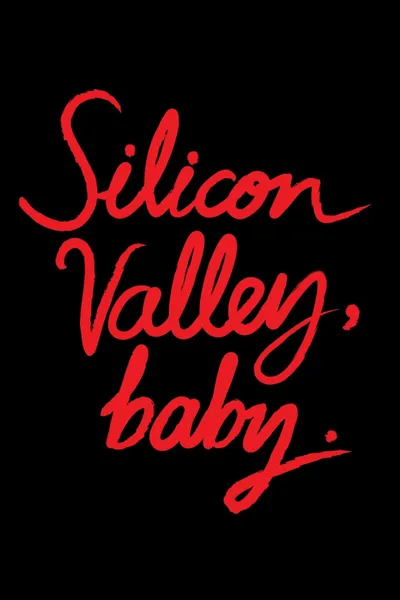 Silicon Valley, Baby.