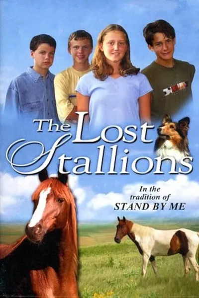 The Lost Stallions