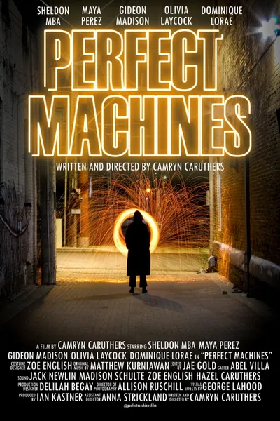 Perfect Machines