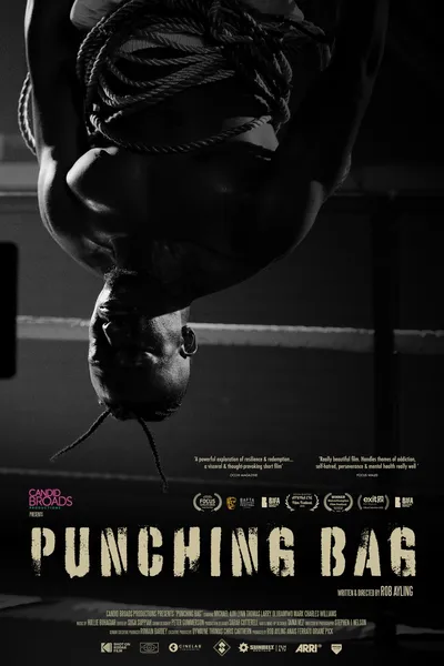 Punching Bag