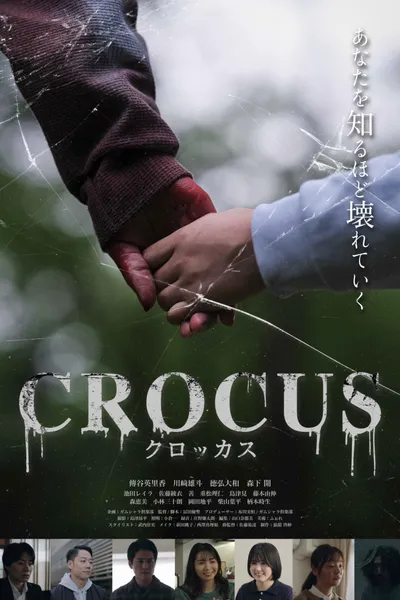 Crocus