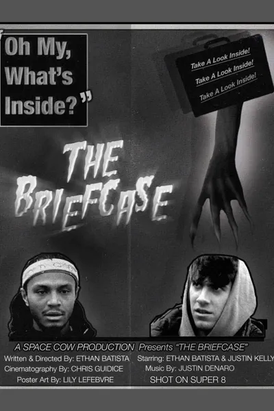 THE BRIEFCASE