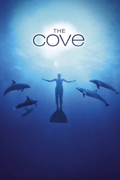 The Cove