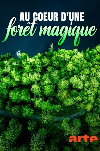 Au cœur d'une forêt magique