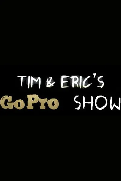 Tim and Eric's Go Pro Show