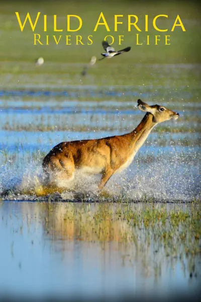 Wild Africa: Rivers of Life