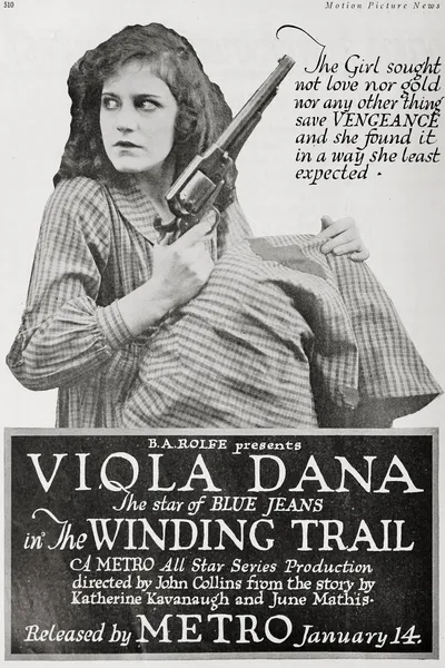 The Winding Trail