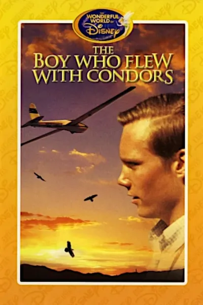 The Boy Who Flew with Condors