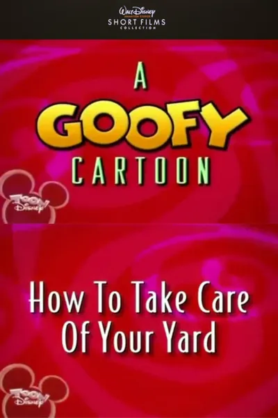How to Take Care of Your Yard