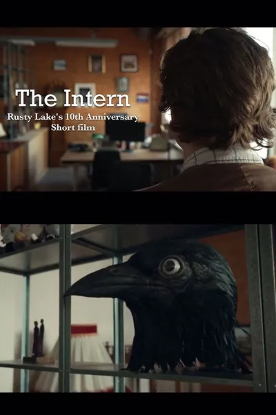 The Intern