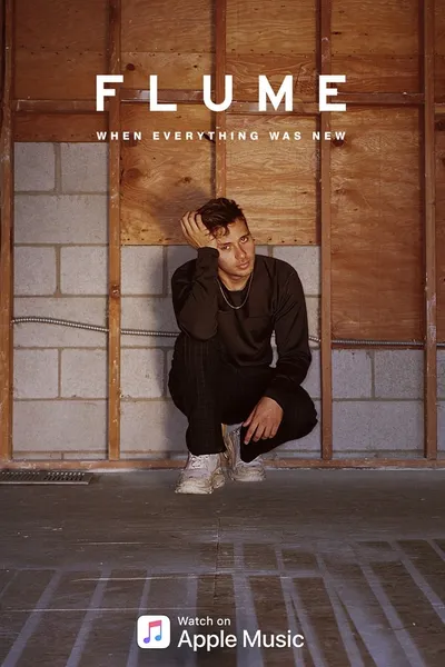 Flume: When Everything Was New