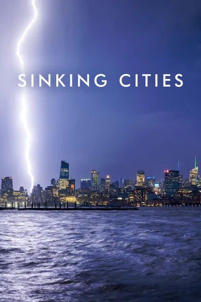 Sinking Cities