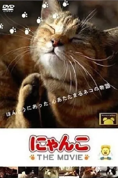 Cat Story The Movie 1