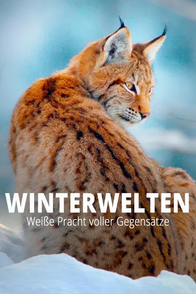 Terra X - Wilde Winterwelten