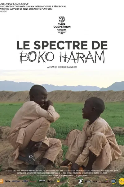 The Spectre of Boko Haram