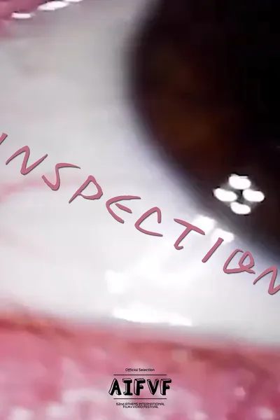 INSPECTION