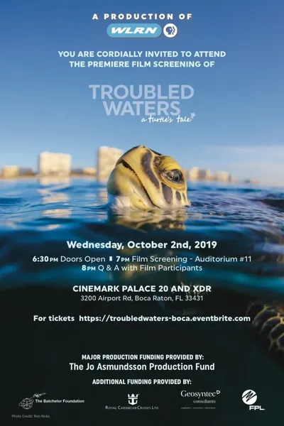 Troubled Waters: A Turtle's Tale
