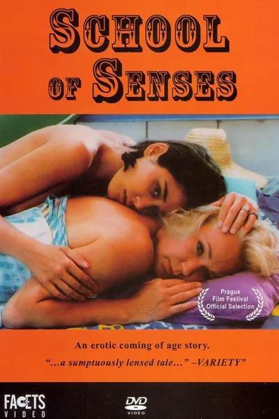 School of Senses