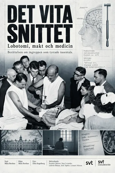 Det vita snittet