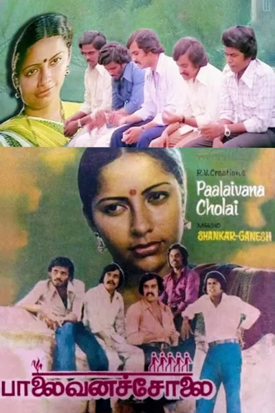 Palaivana Solai