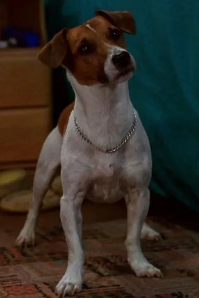 Max