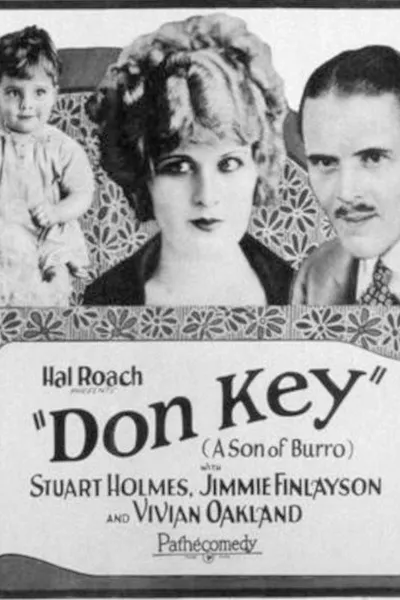 Don Key (Son of Burro)