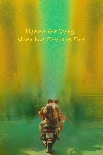 Pigeons Are Dying, When the City Is on Fire