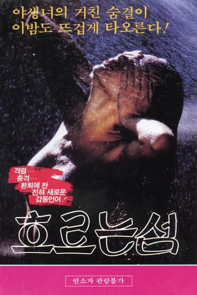 흐르는 섬