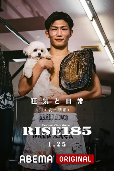 RISE 185