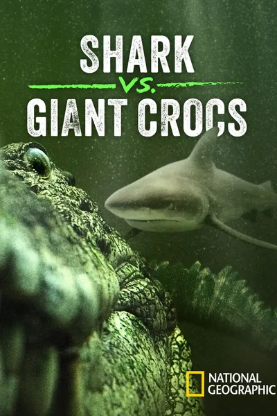Shark vs. Giant Croc