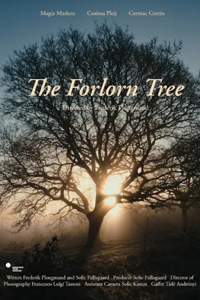 The Forlorn Tree
