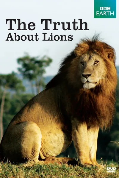 The Truth About Lions