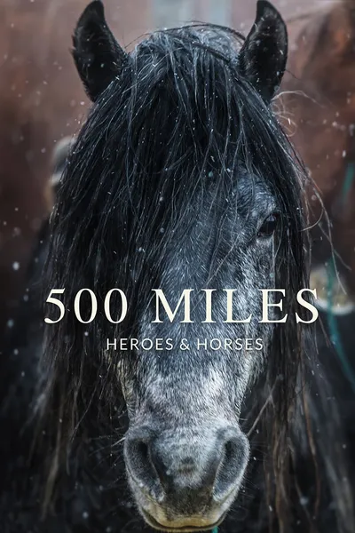 500 Miles - The Story of Ranchers and Horses