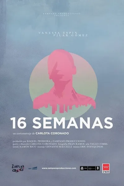 16 semanas