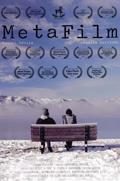 MetaFilm