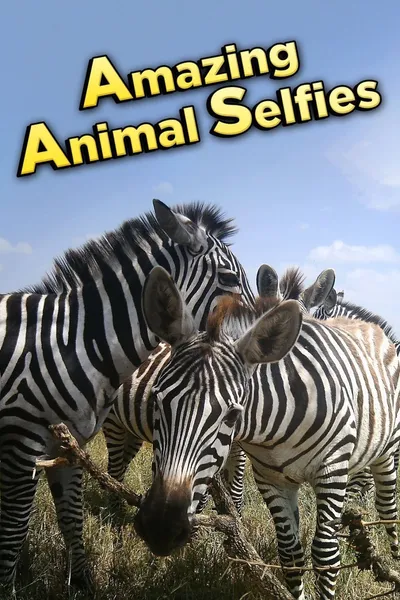 Amazing Animal Selfies