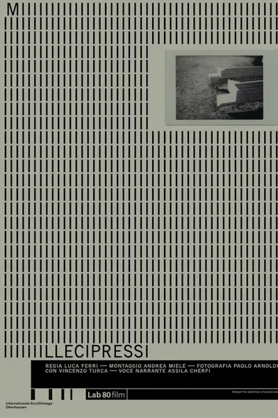 A Thousand Cypresses