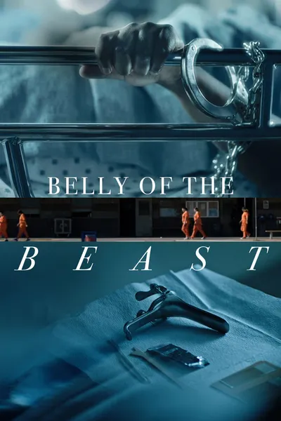 Belly of the Beast