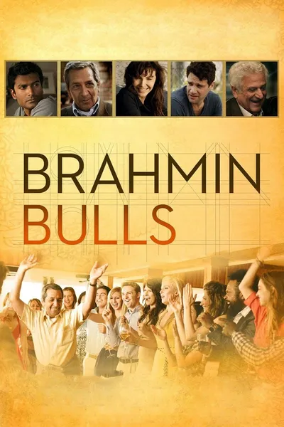 Brahmin Bulls
