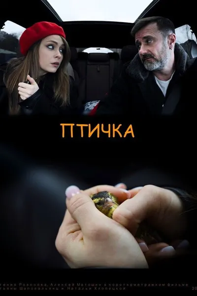 The Birdie